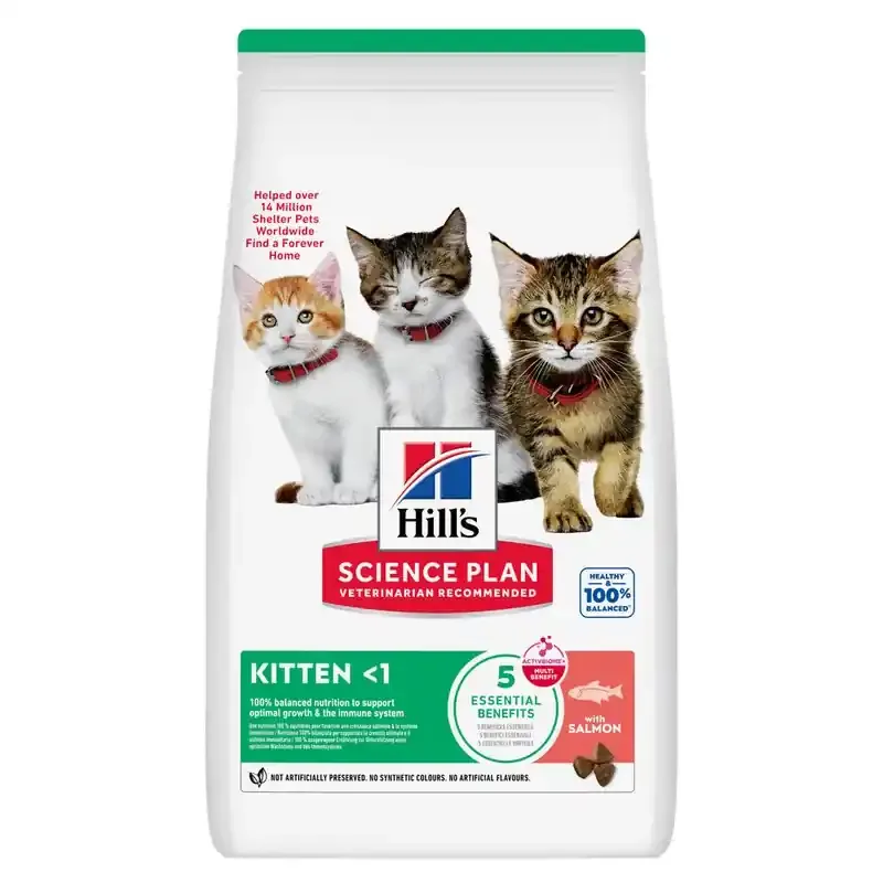 Kitten torrfoder med lax – 1,5 kg Lägg i varukorgen