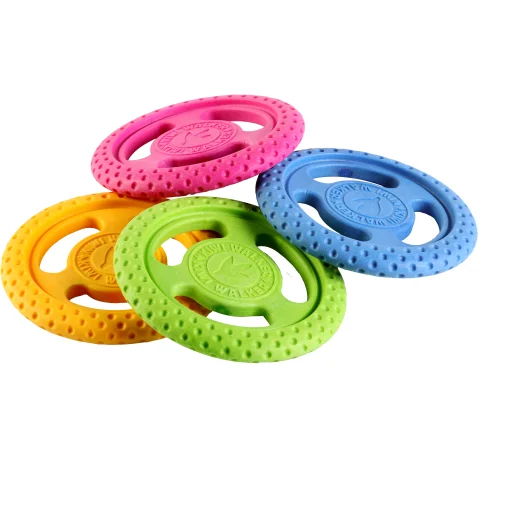 Kiwi Walker Frisbee Maxi – 21cm - Image 2