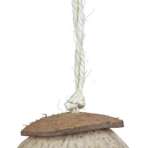 Kokosnöthus hängande