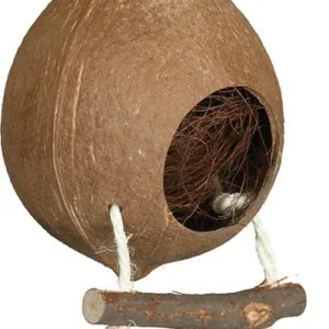 Kokosnöthus med repstege