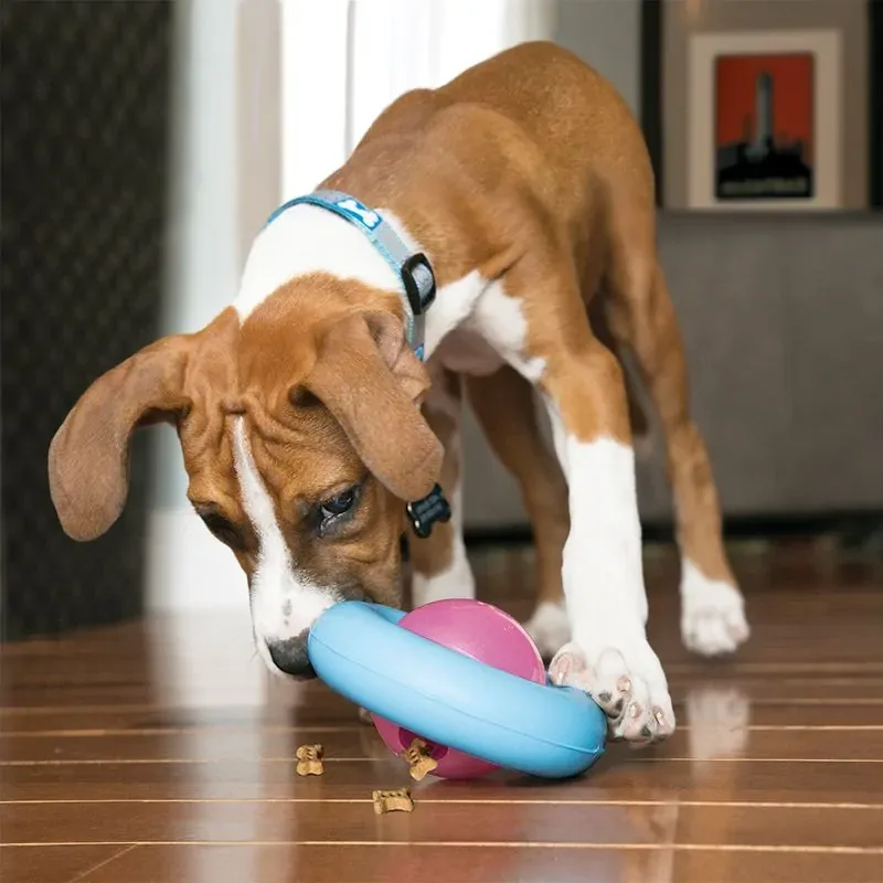 KONG Puppy Gyro – Godisleksak för valpar - Image 2