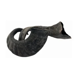 Lammhorn
