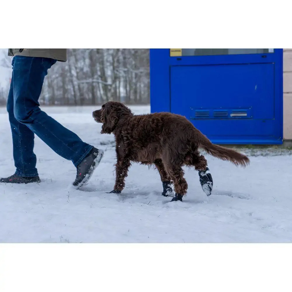 Långdistanssocka För Hund 4st - Image 2