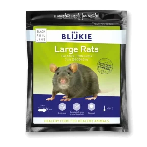 Large Rat 250-350 G – 3 Pack