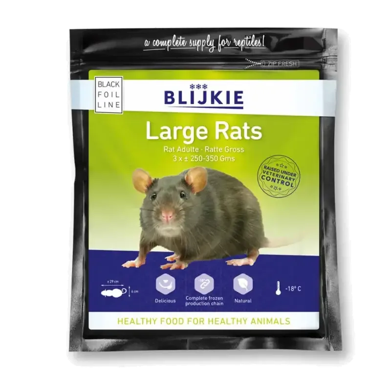 Large Rat 250-350 G – 3 Pack