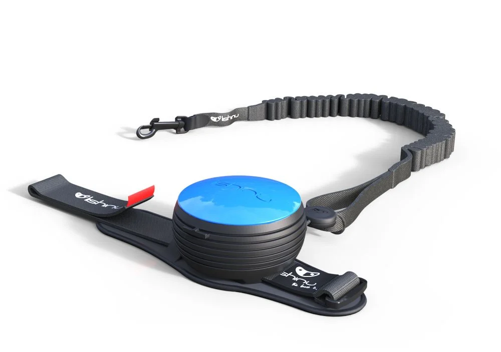Lishinu Bungee ”Hands-free” Blå 3m <30kg
