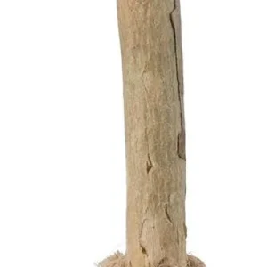 Matatabi Lekkvast