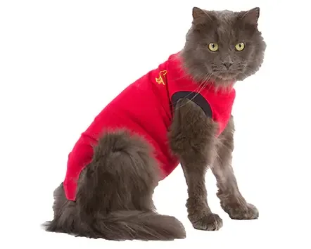 Medical Pet Shirt återhämtningsbody för katter XXXS Begränsat antal