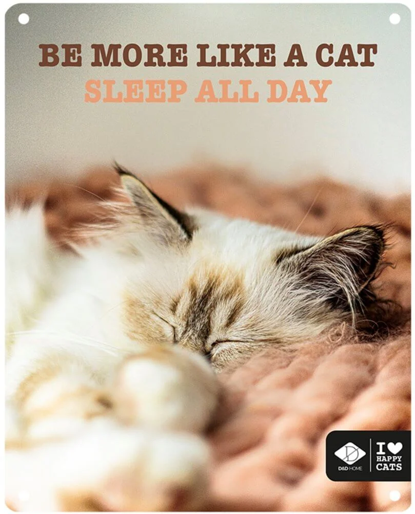 Metallskylt Be More Like A Cat