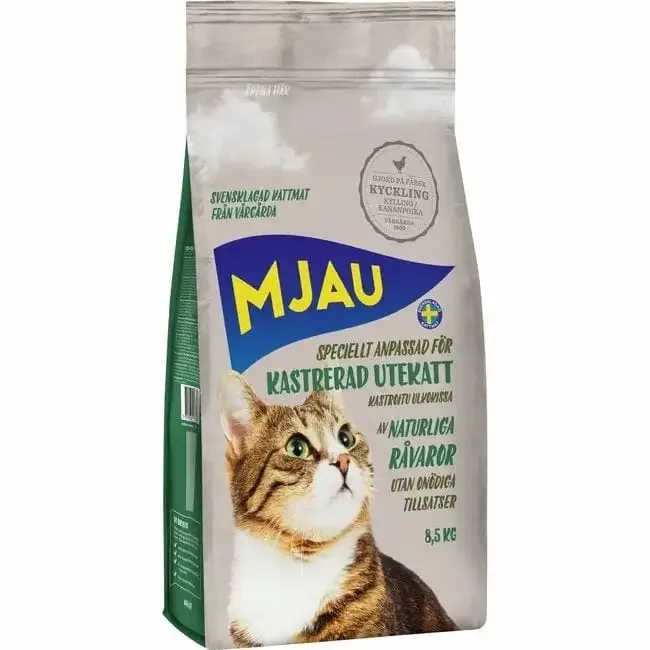 Mjau kastrerad utekatt