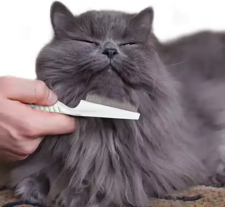 Mjuk Kattkam