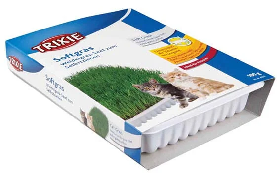 Mjukt Kattgräs Vitaminberikat 100g
