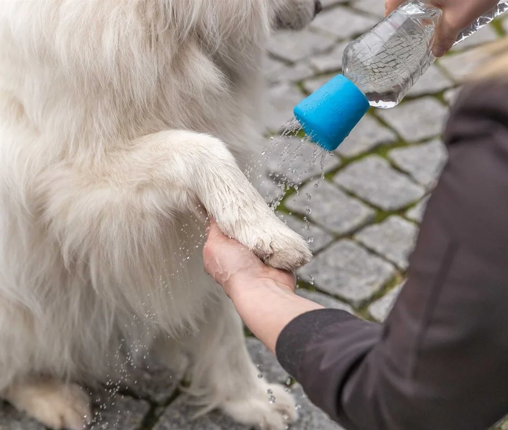 Mobil Tassdusch för PET Flaska Blå