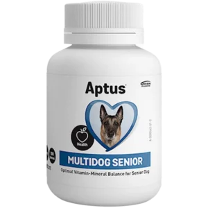 Multidog Senior