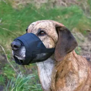 Munkorg nylon med nät M