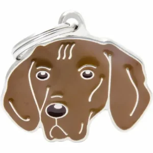 MyFamily ID-bricka friends, Vizsla Snabb frakt