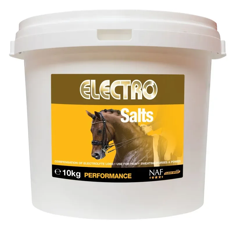 NAF Electro salter 10kg Expressleverans