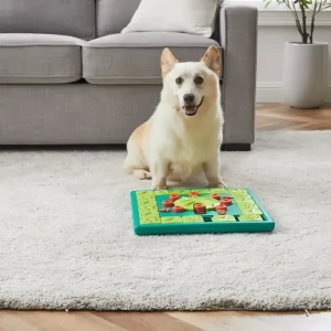 Nina Ottosson Dog Multi Puzzle Grön Begränsad tid