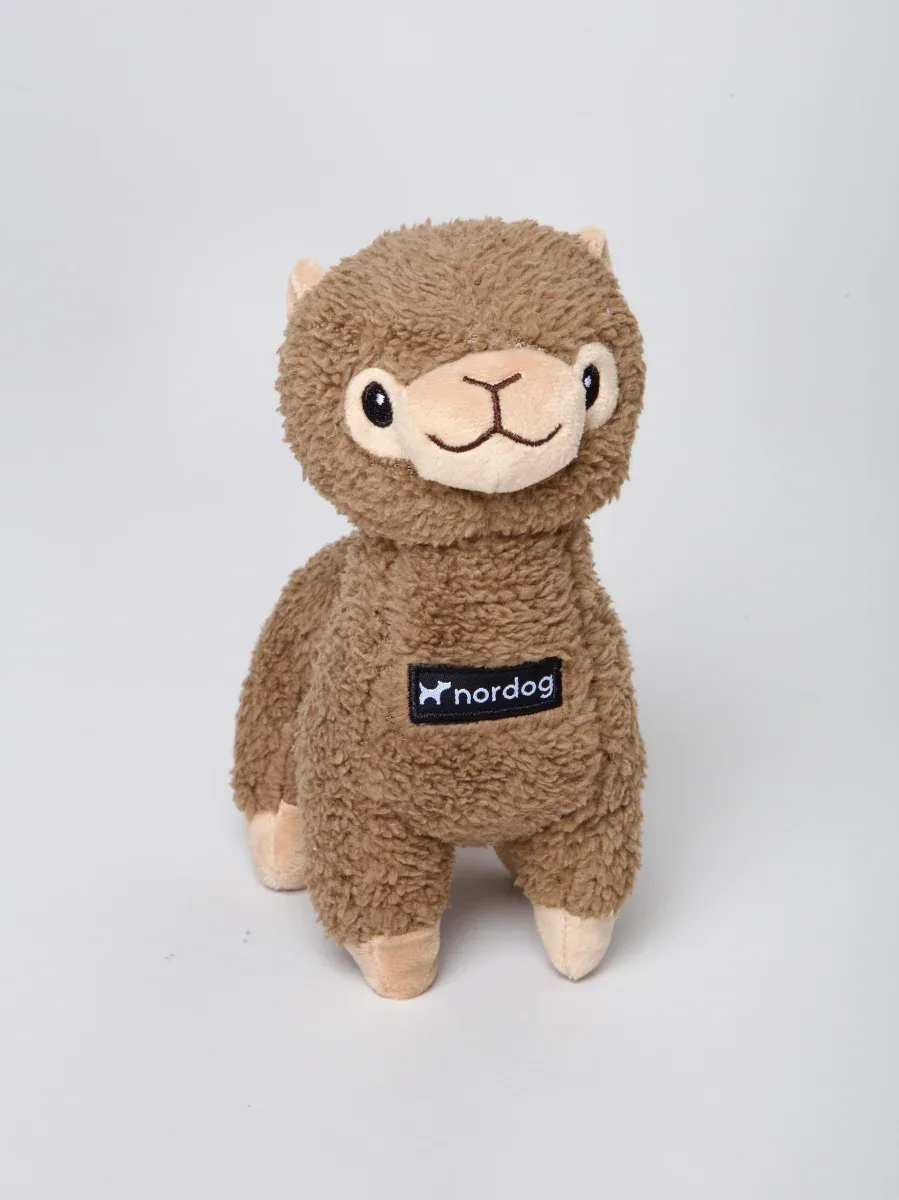 Nordog Benji Mini Alpacka