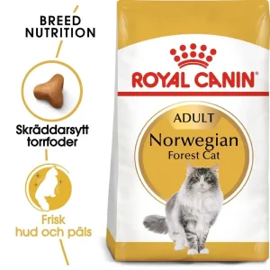 Norwegian Forest Adult Torrfoder för katt 10 kg Outlet