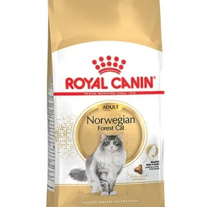 Norwegian Forest Adult Torrfoder för katt – 2 kg Billig