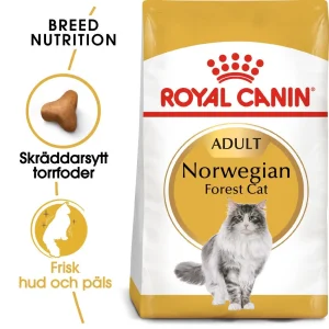 Norwegian Forest Adult Torrfoder f枚r katt