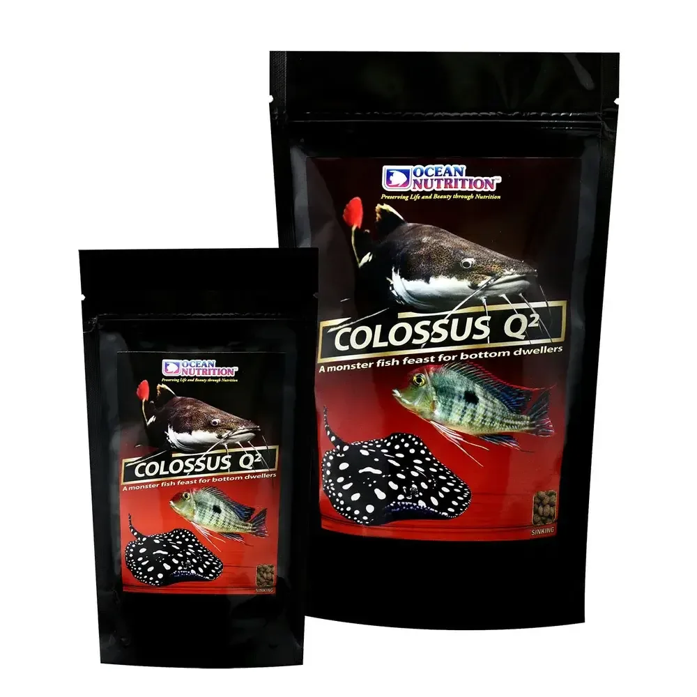 ON Colossus Q2 500g