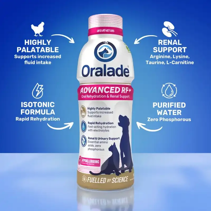 Oralade RF Support Cat – 500 ml Populärt val