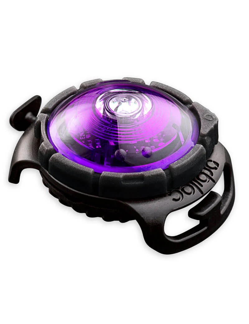 Orbiloc Dual Safety Light Lila