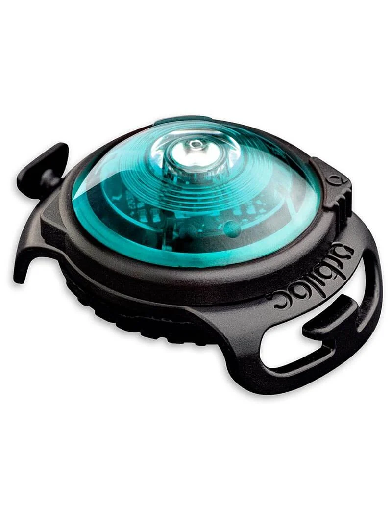 Orbiloc Dual Safety Light Turkos