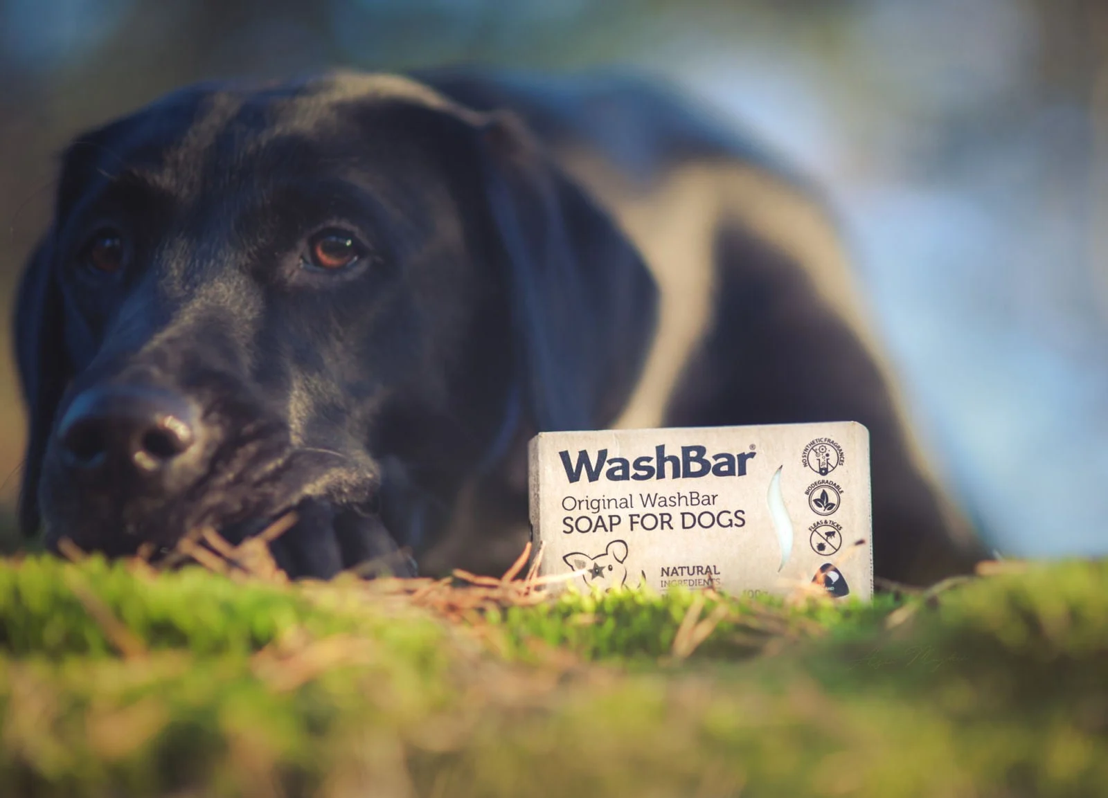 Original WashBar Soap – Hundschampo - Image 2