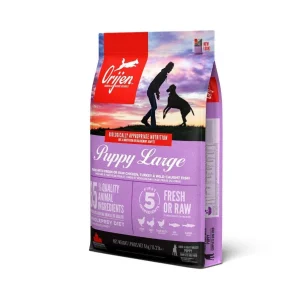 Orijen Puppy Large Breed hundfoder