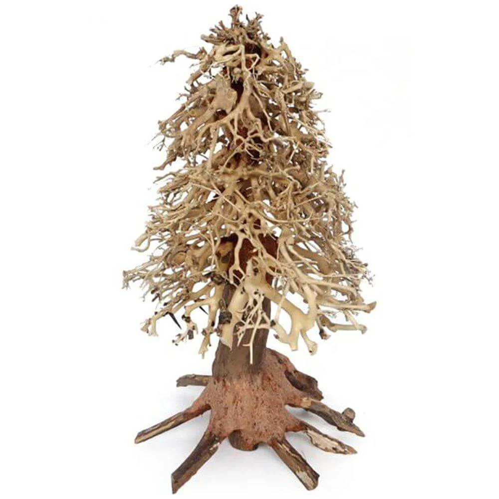 Ozami Bonsai Wood 20x30x20cm