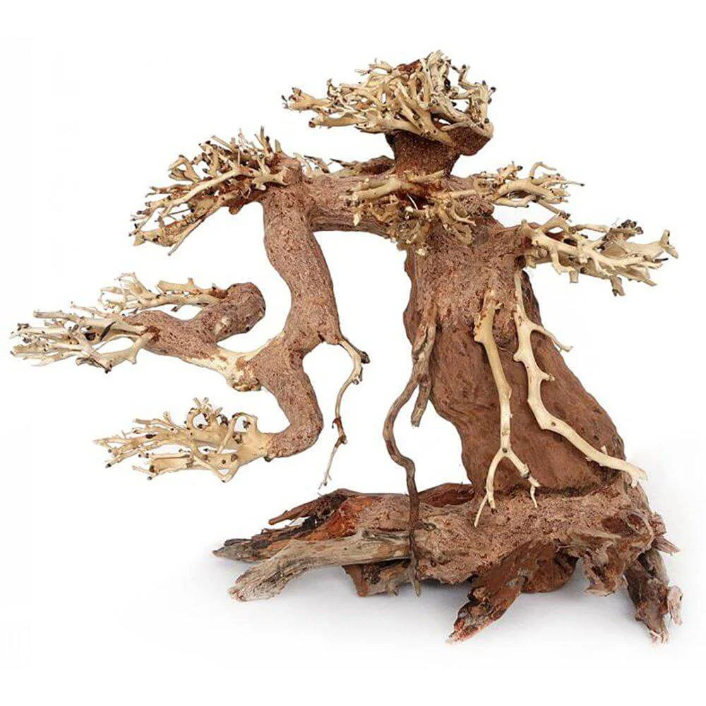 Ozami Bonsai Wood M 23x17x10cm