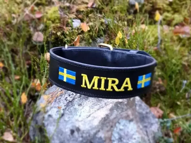 Patrullhalsband i läder