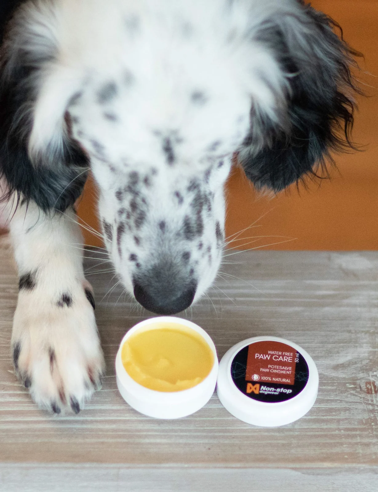 Paw Care - Image 2