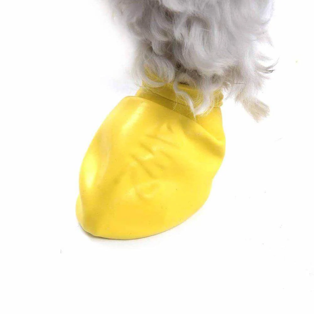 PawZ Dog Boots XXS Gul - Image 2