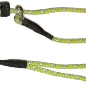 PetNation Retriever Lime