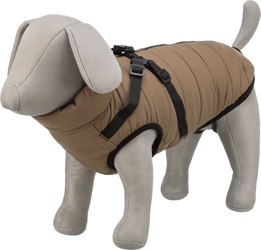 Pirou Täcke med Sele Sand XS: 30cm - Image 2
