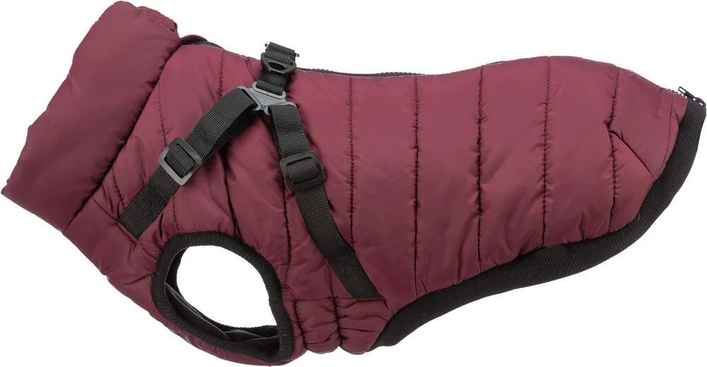 Pirou Täcke med Sele Sangria S: 36cm