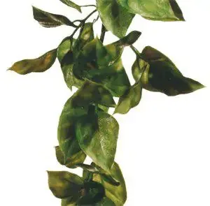 Plastväxt Amapallo Exo Terra