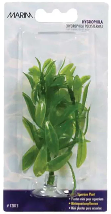 Plastväxt Hygrophila Mini 10cm Med Sugkopp