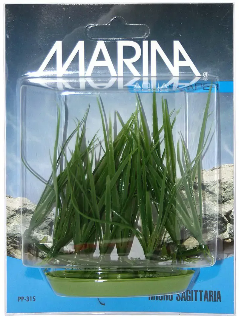 Plastväxt Micro Sagittaria
