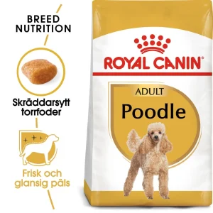 Poodle Adult Torrfoder f枚r hund