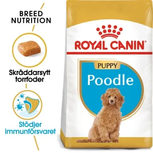 Poodle Puppy Torrfoder f枚r hundvalp