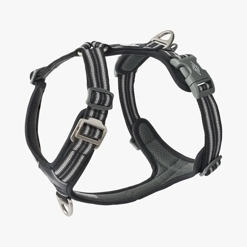 Populärt val Dog Copenhagen Comfort Walk Air Black