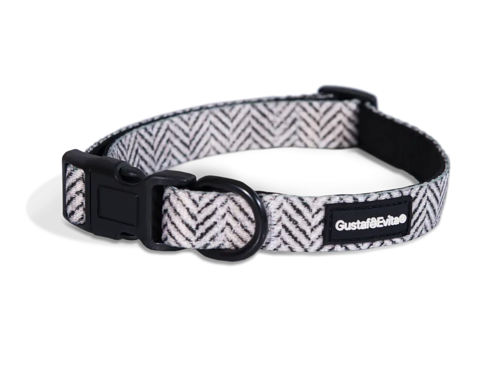 Populärt val Hundhalsband Modish ställbart XS, 15mm x 2843cm Mönstrad