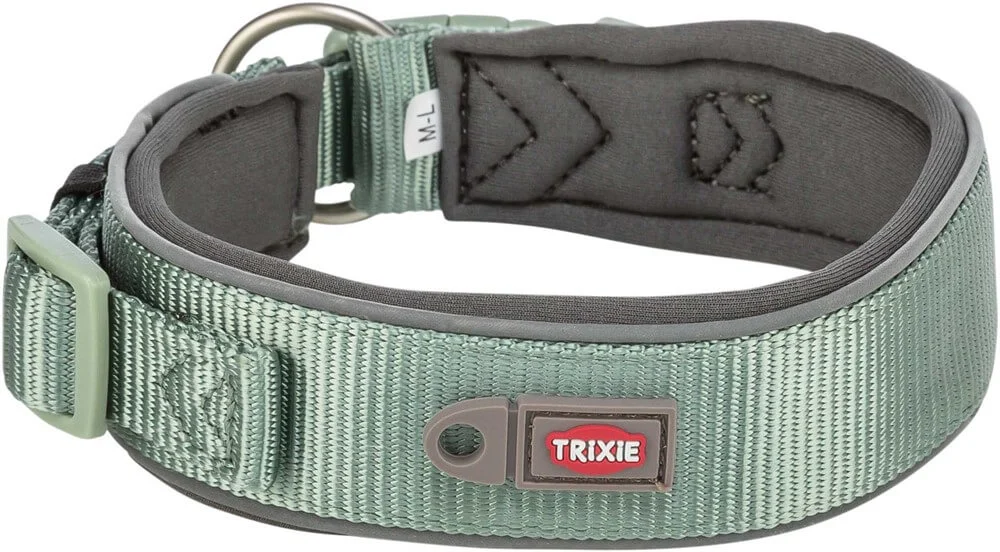 Prem. Halsband X-Bred L: 46-55cm/50mm Sage - Image 2
