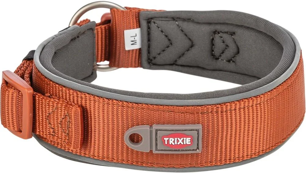 Prem. Halsband X-Bred XL-L: 53-62cm/50mm Rost - Image 2