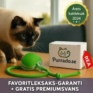 PurrChase – smart, interaktiv och utsedd till Årets kattleksak 2024